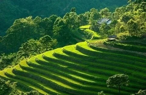 Mẹ đơn thân ở Vĩnh Yên và hành trình tìm lại chính mình cùng Hotspot Matrix_Video ngắn cho doanh nghiệp nhỏ